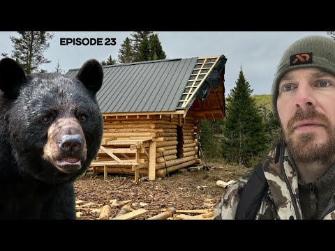 Log Cabin Build on Off-Grid Homestead |EP23| BEARS