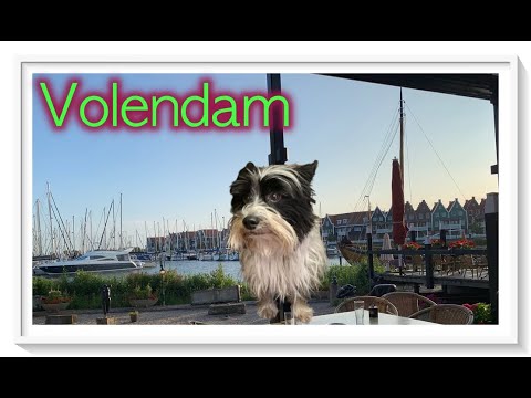 🇳🇱 Volendam - Nordholland - Niederlande - Mobby on Tour - Sommer 2019 - de