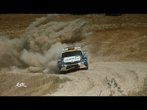 Cyprus Rally 2017 - The Championship Leader