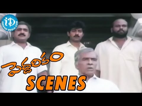 Peddarikam Movie - Chandra Mohan Pleads NN Pillai To Forgive Him || Jagapathi Babu || Sukanya