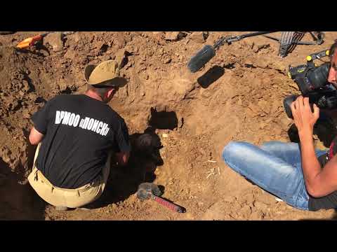 Finding fallen Soviet soldiers for Stalingrad