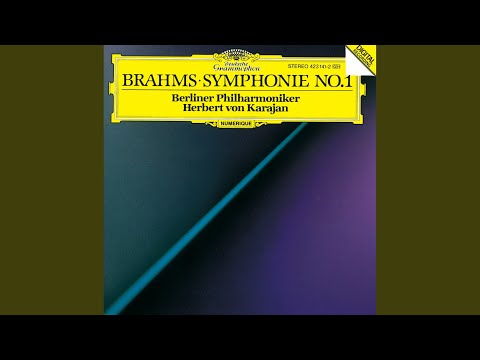 Video thumbnail for Symphony No. 2 in D major, Op. 73: III. Allegretto grazioso (quasi andantino)