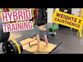 WEIGHTS X CALISTHENICS | HYBRID WORKOUT | FRONT LEVER TRAINING | HOW TO MIX WEIGHTS AND CALISTHENICS