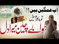 Emotional Heart Touching Kalam Hua Be Chain Mera Dil Jalabeeb Qadri Nasheed Club Peace Studio