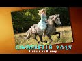 Cinderella Trailer 2015 - Cinderella (2015 ...