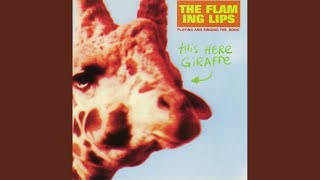 Hit Me Like You Did the First Time (Live Peel Session)