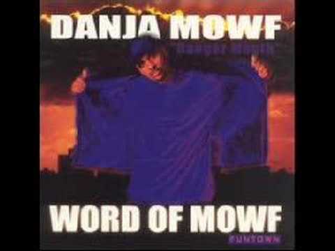 Danja Mowf FT Javon - Like Flies