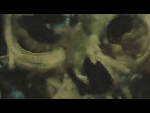 Thumbnail for Limp Bizkit | The Truth (Isolated Bass Track) by Sam Rivers
