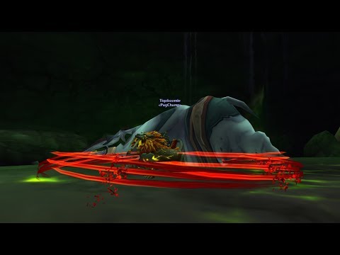 950 Feral Druid One Shot Mage Tower