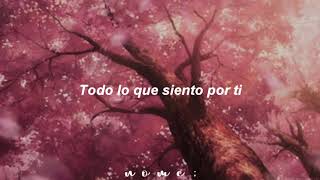 Ya ves; Selena (letra)