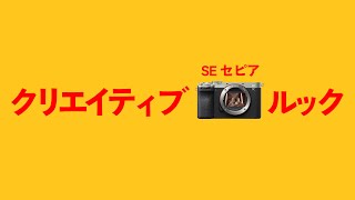 【クリエイティブルック】α7CIIで作例を３０枚撮りました。