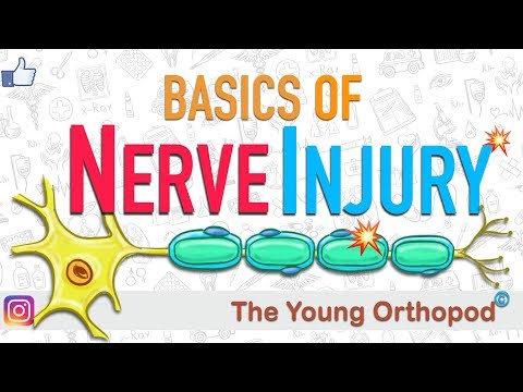 Nerve Injury | Nerve Damage | ANIMATION | Neuron | The Young Orthopod