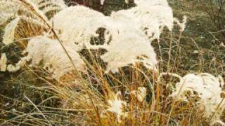 Where do I begin + L'amor.wmv