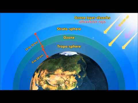Ozone Hole  Video for Kids
