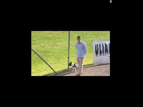 Juniores Nazionale Trestina Sangiovannese