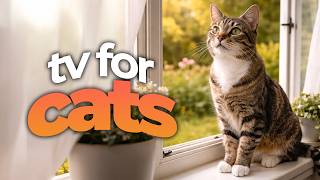 TV for Cats 🐱📺 Engaging Bird & Wildlife Videos for Cats - Calming Music & Relaxation