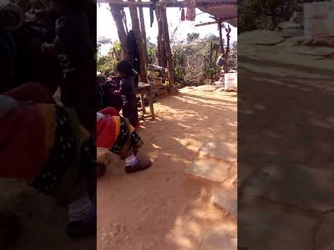 Gaule parako raimailo