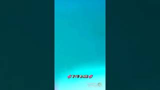 Download lagu 💞poove poochudava serial song💞 mp3 Download lagu 💞poove poochudava serial song💞 mp3