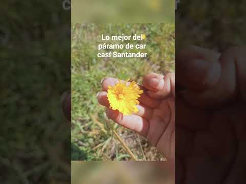 lo mejor del páramo de carcasi Santander I ♥️