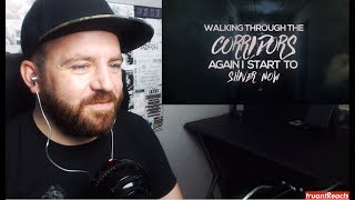 SikTh - Vivid (Lyrics video) (from The Future In Whose Eyes?) - REACTION!