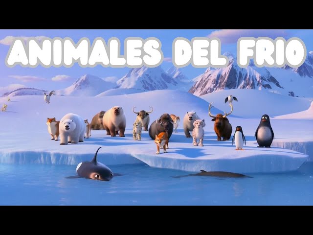 Vídeo relacionado con Animales árticos y antárticos Libro para niños: Conoce a los animales de la tundra helada