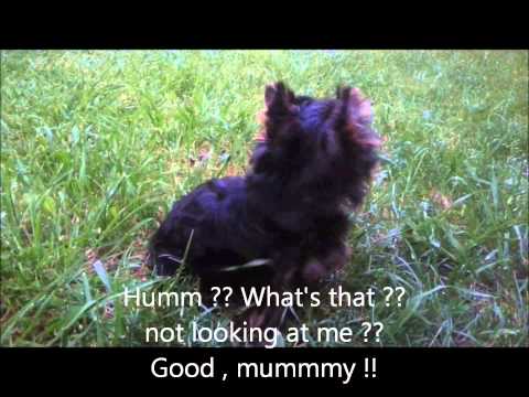 un bruit dans la nuit , MDR !!!