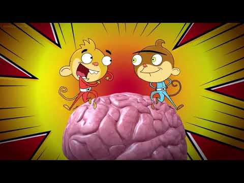 Rocket Monkeys S3 E25: Best Enemies/Optical Delusion