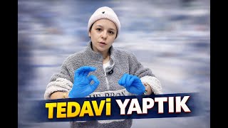 HEM TEDAVİ HEM DEDİKODU😅 | Veteriner Vlog
