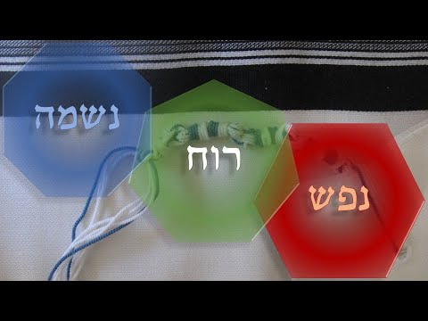 Relationshipful Meaning #13 - Rav SR Hirsch on Tzitzis