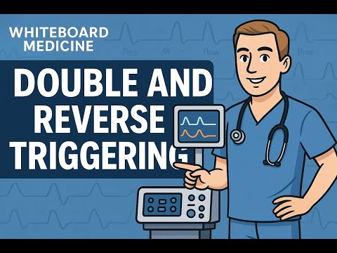 Mechanical Ventilation Advanced - Double Triggering Versus Reverse Triggering | Clinical Medicine