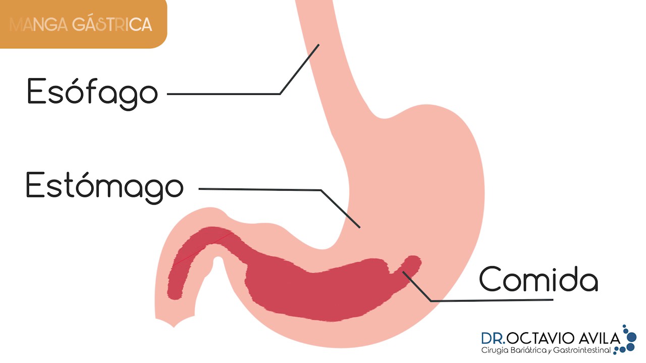 Octavio Ávila Mercado-24