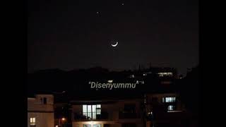 Download lagu Story Wa || Pelangi Dimatamu cover Regita Echa mp3