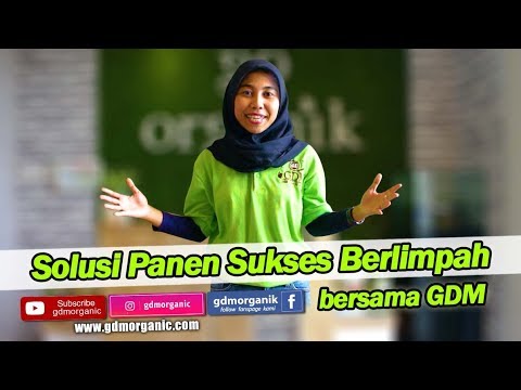 Patogen rating untuk ulasan wanita Harga patogen perempuan di Ukraina