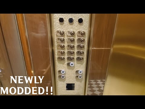 NEWLY MODDED Peterson & Cowan (mod. by Kone) Traction Elevators at 675 W Hastings St. - Vancouver BC