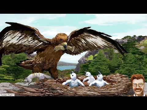 Pilotredsky - Polymer