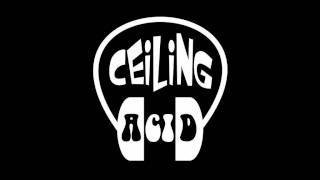 Kids with Guns-Gorillaz (Ceiling Acid Remix)
