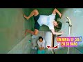 The Laziest But Most Skilled Ninja Under Ninja 2025 Summary Movies