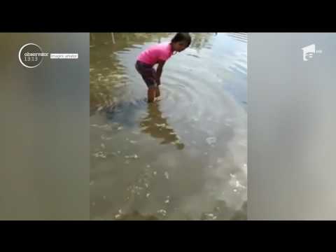 Furtunile şi ploile torenţiale au făcut prăpăd în mai multe judeţe din ţară