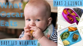 7 LUNCH IDEAS| Baby Led Weaning