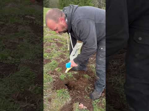 Easy way to get rid of a gopher | lawn or hay field. #shorts #diy #home #gopher ￼
