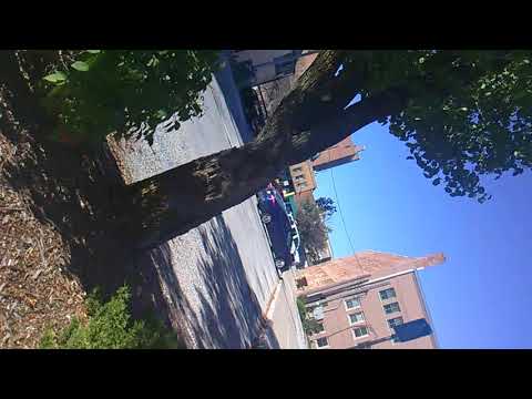 Memoirs of A Gangsta: ReRock'd Episodes(4)