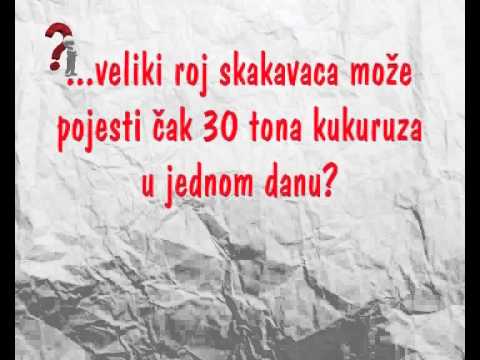 Jeste li znali??? 5.epizoda