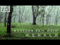 Experience Heavy Monsoon Rain From Kerala Relaxing ASMR Rain And Thunder Sounds For Sleep