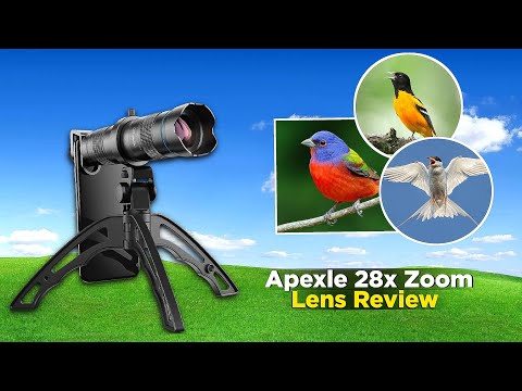 Apexel 28x Telephoto Lens Photography | Apexel 28x Telephoto Lens Review | Nature Photography‎🤯‎