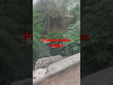 El famoso puente de las brujas #brujas