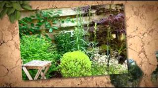 Lifescapes Landscaping Hilton Head Island