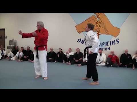 🥋 Dave Hopkins Kung Fu San Soo: Realistic Street Self Defense🥋