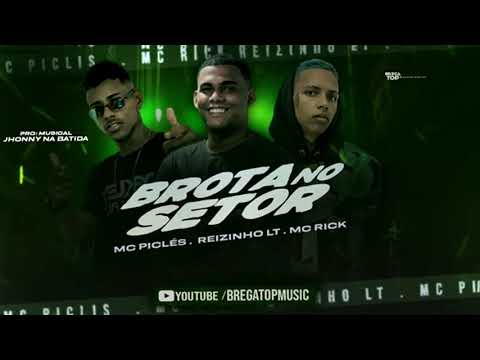 Reizinho LT ,MC Piclés , MC Rick - Brota No Setor