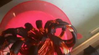 ARACHNID 24 COIL WITH INTER-DEMINTTIONAL SINGULARITY THORAX 2
