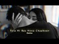 Tera Hi Bas Hona Chaahoon Slowed Reverb Haunted Zamina